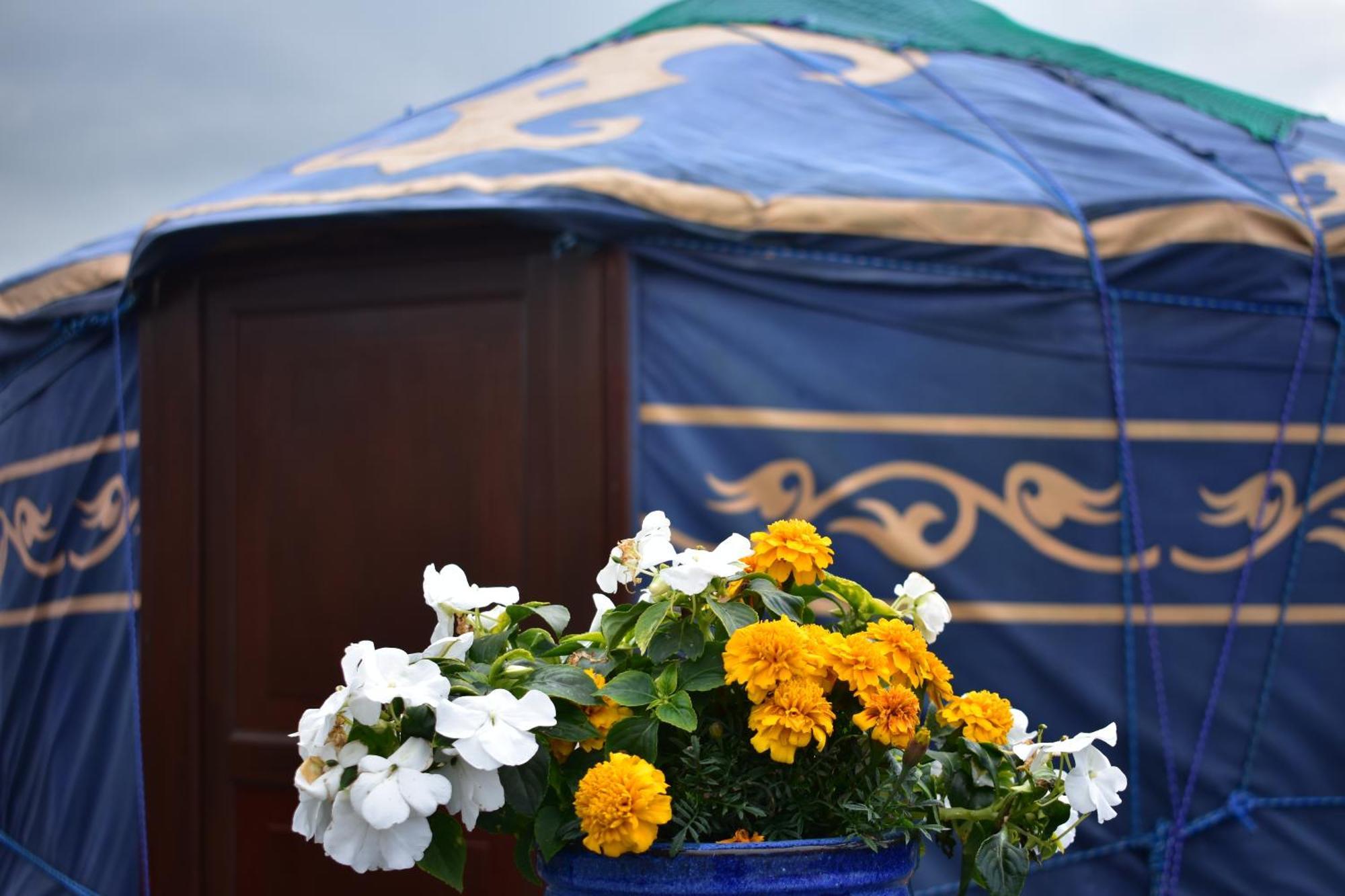 Doolin Glamping Ξενοδοχείο Εξωτερικό φωτογραφία